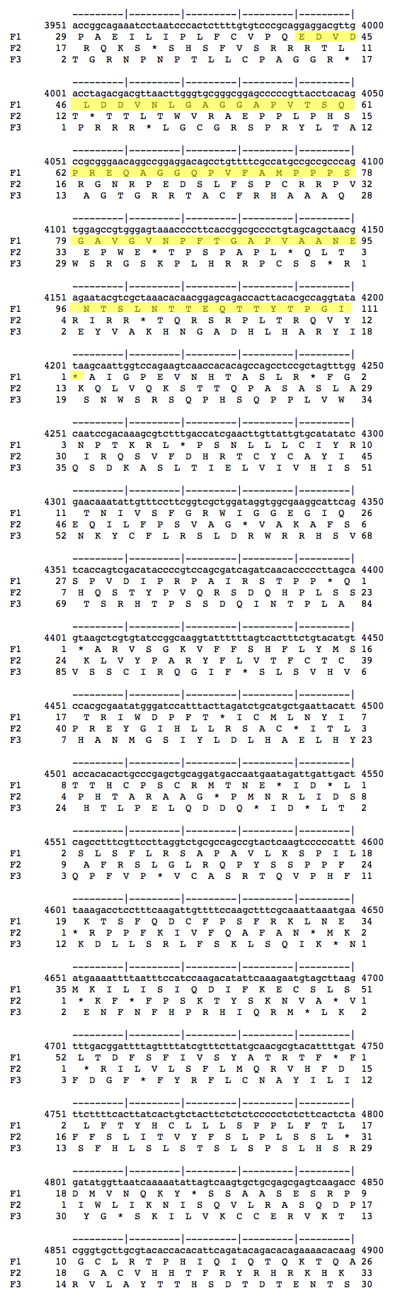 Fosmid 8065n09